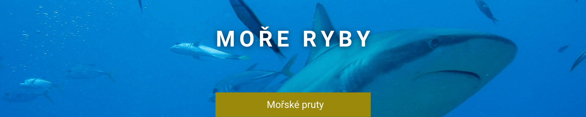 Može pruty-2